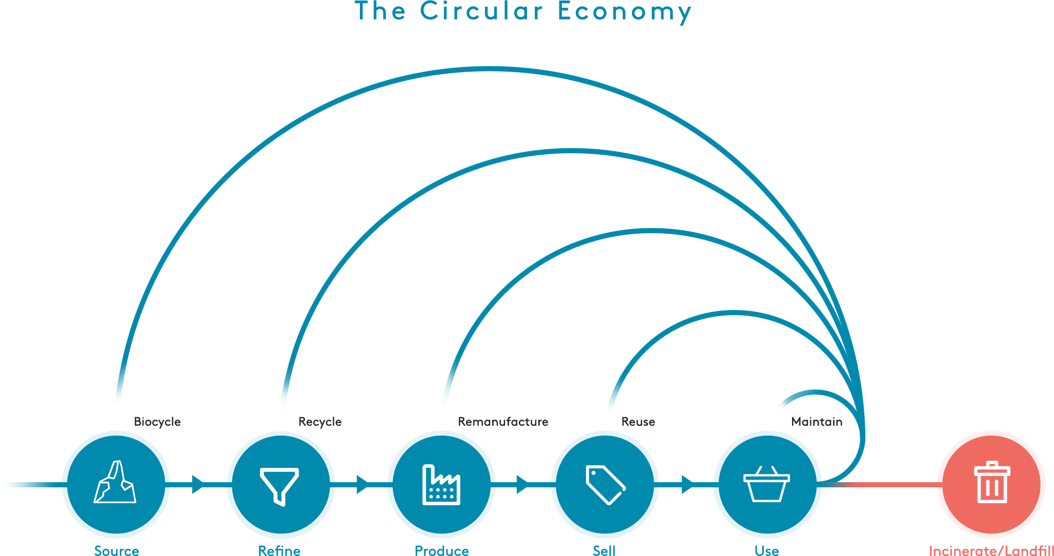 A diagram on 'The Circular Economy'